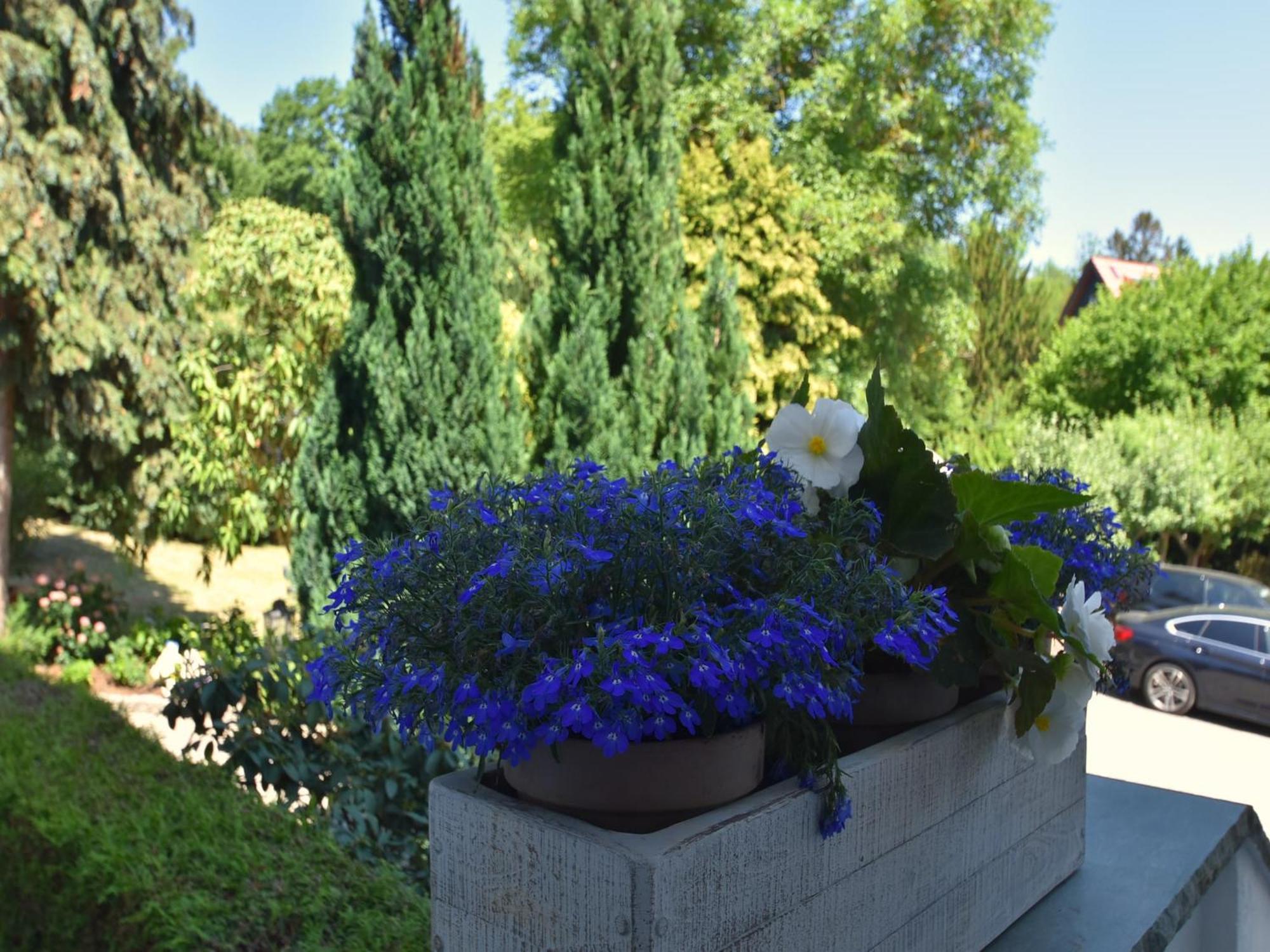 Ground Floor Apartment In Blankenburg Blankenburg  Εξωτερικό φωτογραφία